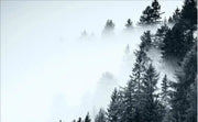 Envol dans la brume — aperçu du décor, vue 12