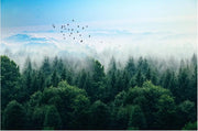 Envol dans la brume — motif 6, vue du motif 1