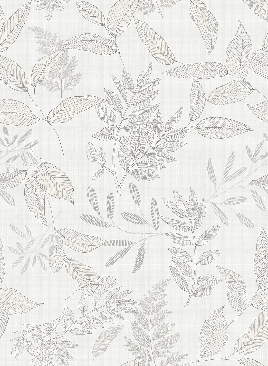 Feuilles en esquisse — aperçu du décor, vue 1