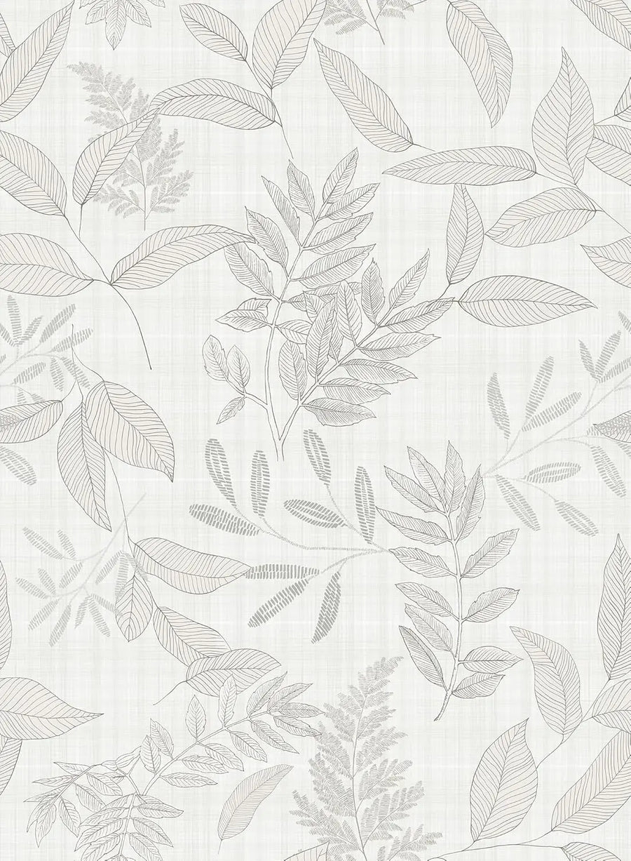 Feuilles en esquisse — aperçu du décor, vue 1