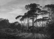 Palmenhain als Gravur — Fototapete · Foto 16