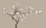 Magnolienzweige — Fototapete · Foto 25