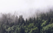 Envol dans la brume — aperçu du décor, vue 26