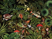 Bestiaire tropical — motif 1, détail des poissons et du feuillage du papier peint