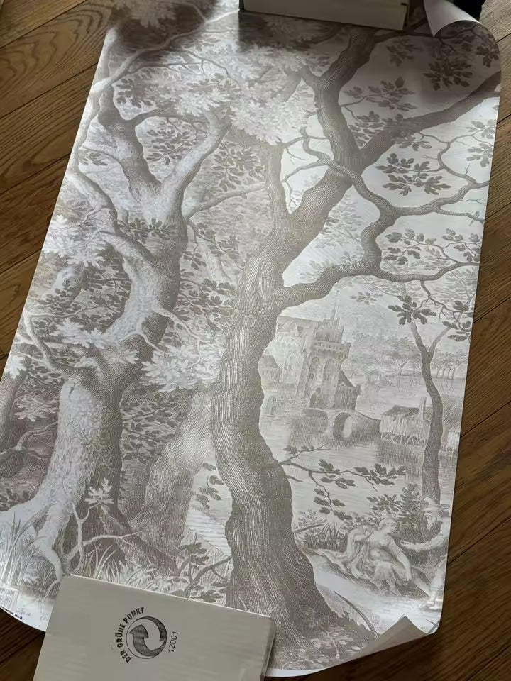 Bois de brume — photo réelle des arbres et des détails du papier déroulé.