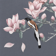 Magnolienzweige — Fototapete · Foto 113