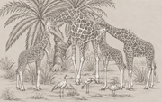 Safari für die Kleinen — Fototapete · Foto 125